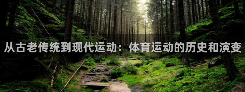 从古老传统到现代运动：体育运动的历史和演变