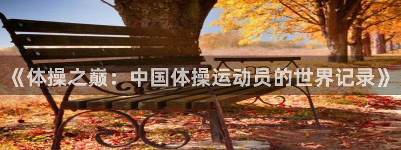 《体操之巅：中国体操运动员的世界记录》