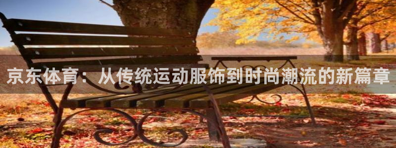 京东体育：从传统运动服饰到时尚潮流的新篇章