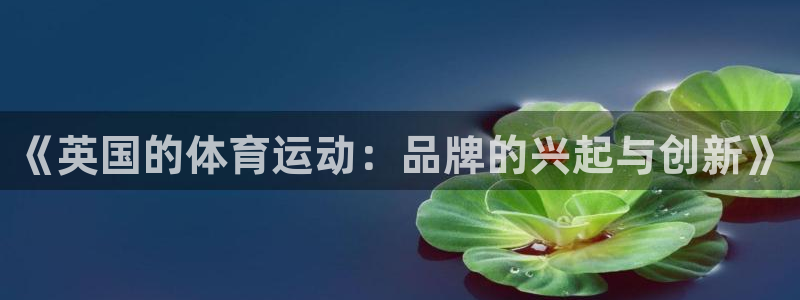 《英国的体育运动：品牌的兴起与创新》