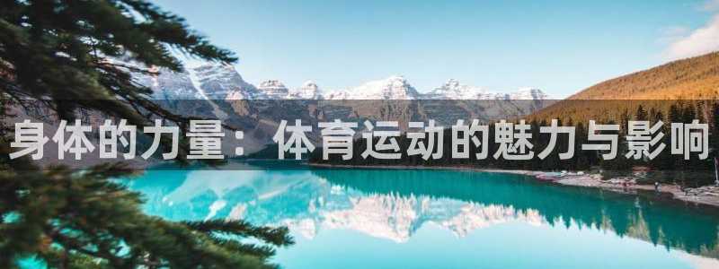 身体的力量：体育运动的魅力与影响
