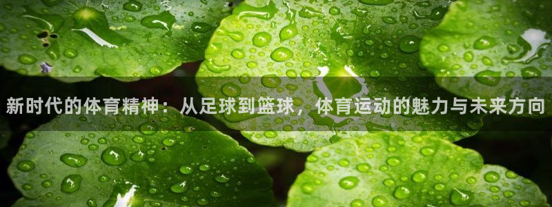 新时代的体育精神：从足球到篮球，体育运动的魅力与未来方向